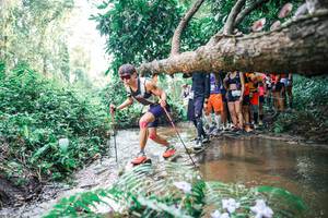 BIB: 
                            <button type="button" onclick="openModal(25472750)" class="btn btn-primary btn-sm float-right btn-popup" data-toggle="modal" data-target=".modal-high-quality">
                        <i class="fas fa-shopping-cart"></i> Add to Cart
                    </button>
                                            <button type="button" onclick="isThisMe(25472750, true)" class="btn btn-success btn-sm float-right btn-popup btn-isme hidden" data-toggle="tooltip" data-placement="bottom" title="นี่คือรูปของคุณใช่ไหม คลิกที่นี่เพื่อเอาเข้าอัลบั้ม">
                        <i class="fas fa-plus"></i> Add to album
                    </button>
                    <button type="button" onclick="isThisMe(25472750, false)" class="btn btn-warning btn-sm float-right btn-popup btn-isnotme hidden">
                        <i class="fas fa-ban"></i> Remove from album
                    </button>